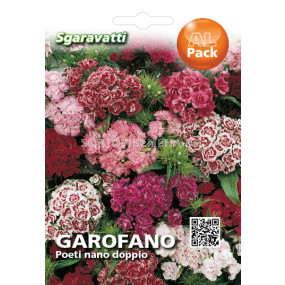 Семена Топ Карамфил кичест микс (нисък)`SG - Dianthus barbatus mix`SG