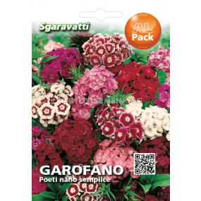 Семена Топ Карамфил обикновен микс (нисък)`SG - Dianthus barbatus mix`SG