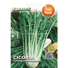 Семена Цикория (Chicory) Catalogna`SG