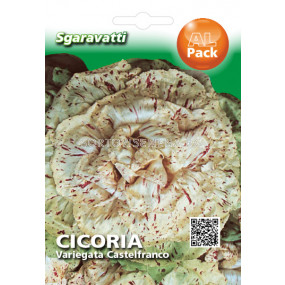 Семена Цикория (Chicory) Variegata`SG