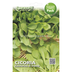 Семена Цикория (Chicory) Zuccherina di Trieste`SG