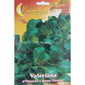 Валериана