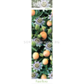 Ядлива пасифлора (Passiflora edulis)