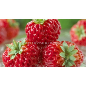 ягоди (Strawberry) Framberry 