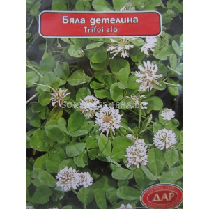 Семена Бяла детелина - sortovisemena.bg Семена Бяла детелина