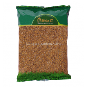 СК ГОРЧИЦА ЖЪЛТА БРАКО 1 КГ MUSTARD YELLOW, Braco   - sortovisemena.bg СК ГОРЧИЦА ЖЪЛТА БРАКО 1 КГ MUSTARD YELLOW, Braco