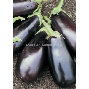 Семена Патладжан CLASSIC F1 - sortovisemena.bg Семена Патладжан CLASSIC F1