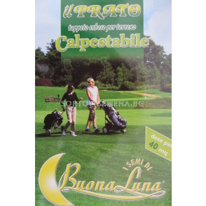 Семена Тревна смес кутия Спортна - sortovisemena.bg Семена Тревна смес кутия Спортна