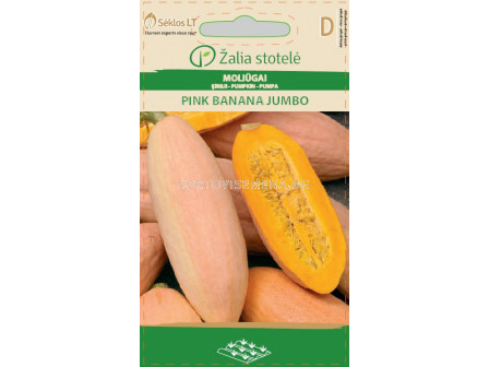 Тиква Пинк Банана Джъмбо (PUMPKIN PINK BANANA JUMBO) 'SK - 2 г