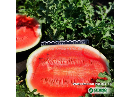 Семена Дини Нейзи F1 - Watermelon Naisy (KS 638) F1