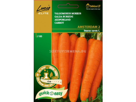 Моркови Амстердам 2 (CARROT AMSTERDAM 2) 'SK - на лента 4 м