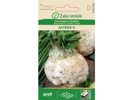 Целина глави Астерикс ( CELERIAC ASTERIX) 'SK - Хибрид - 0,05 г