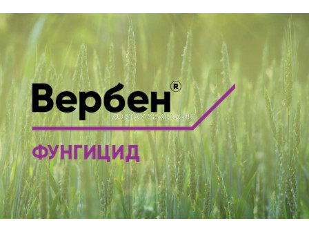 Вербен - 5 л