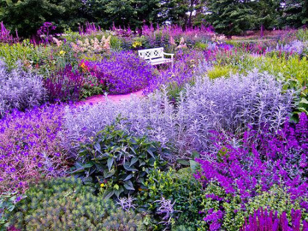 Колекция "Purple garden" 50 бр