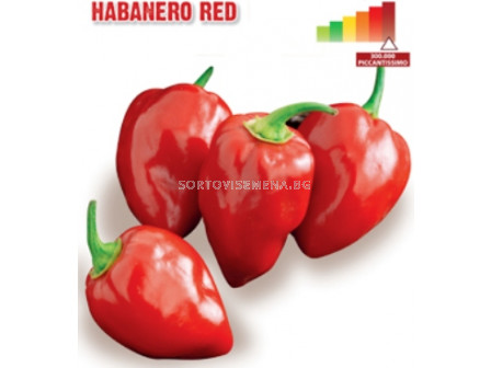 Семена Пикантен пипер Хабанеро (чушки) Habanero Red "SG