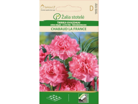 Карамфил кичест розов  / CLOVE PINK CHABAUD LA FRANCE / SK - 0,4 г