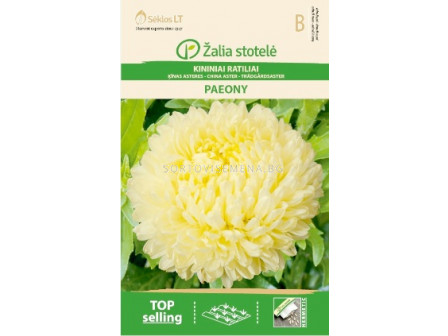 Астра божур жълта /ASTER CHINA, PAEONY  YELLOW/ SK - 0,5 г