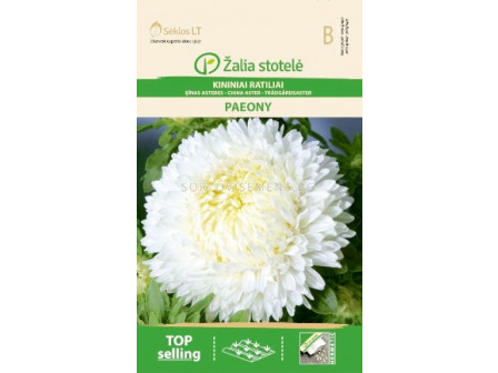 Астра божур бяла /ASTER CHINA, PAEONY WHITE/ SK - 0,5 г