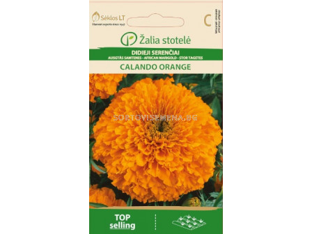 Тагетес оранж /MARIGOLD, AFRICAN CALANDO orange/ SK - 0,5 г