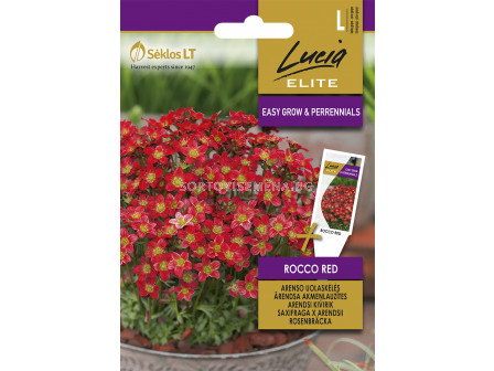 Каменоломка червена / SAXIFRAGA ROCCO RED / SK - 30 семена