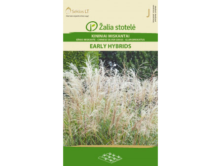 семена Мискантус (Miscanthus sinensis) 'SK -1 оп