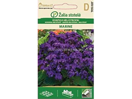 Хелиотроп син / GARDEN HELIOTROPE, BLUE / SK - 0,1 г