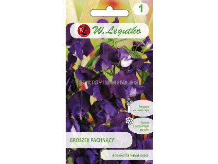 Семена Декоративен грах черешово-лилав / Lathyrus odoratus cherry-violet /LG 1 оп 