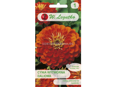 Семена Циния Ориндж Кинг / Zinnia elegans dahlia fl. Orange King /LG 1 оп