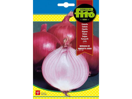 Семена лук (червен) Арбо/ Onion Arbo