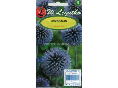 Челядник / Echinops ritro electric blue/ LG 1 оп