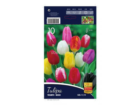 Лале (Tulip) Triumph Mix 11/12 (10 луковици) 