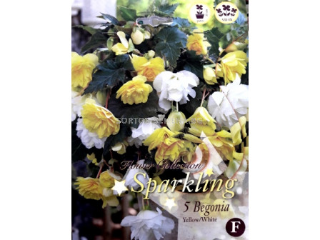 Бегонии (Begonias) Mix Sparkling (Yellow/ white)