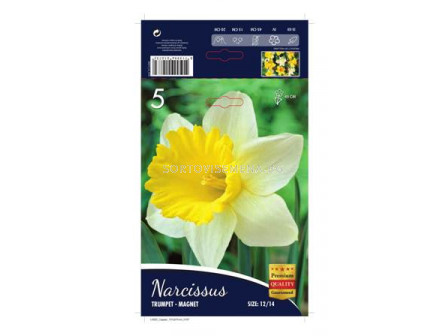 Нарцис Magnet 12/14 - Narcissus Magnet 12/14