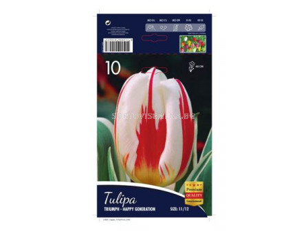 Лале triumph (Tulip) Happy Generation