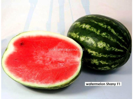 Семена Дини Шани F1 - Watermelon Shany F1- 100 семена