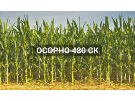 Осорно 480СК - 1 л