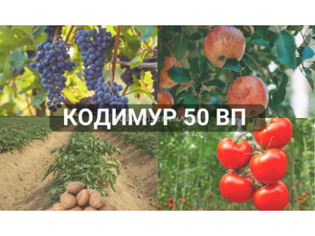 Кодимур 50ВП