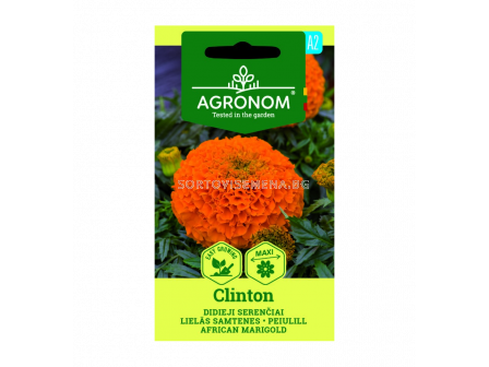СК СЕМЕНА ТАГЕТЕС КЛИНТЪН MARIGOLD, CLINTON 
