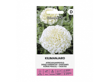 Тагетес KILIMANJARO - 'SK - 0,20г