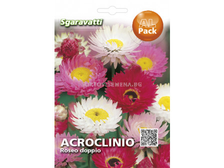 Семена Акроклиниум`SG - Acroclinium`SG