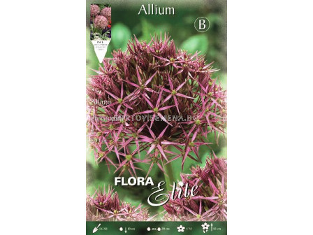 Декоративен лук Allium Christophii - Flora Elite