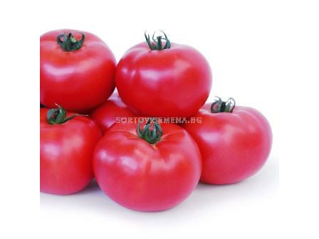 Семена Домати KS 307 F1 - Tomato KS 307 F1
