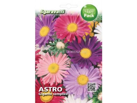 Семена Астра Гигант микс`SG - Aster Giant mix`SG