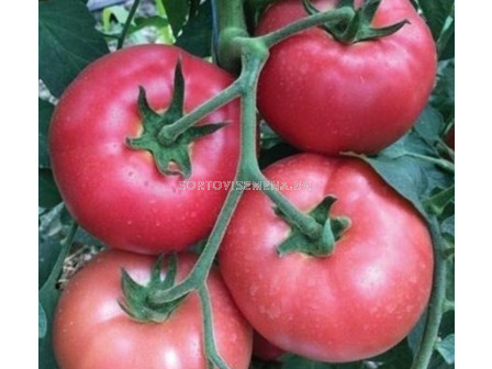 Семена домати Балабан F1- розов-500 сем