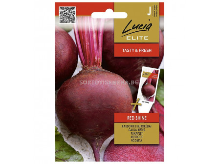 СЕМЕНА САЛАТНО ЦВЕКЛО ЧЕРВЕНА СВЕТЛИНА BEETROOT RED SHINE - СК 