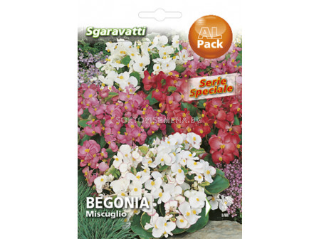 Семена Бегония`SG - Begonia`SG