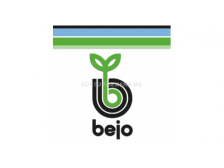 Семена Салата батавия / Larabel / Bejo -5000 сем