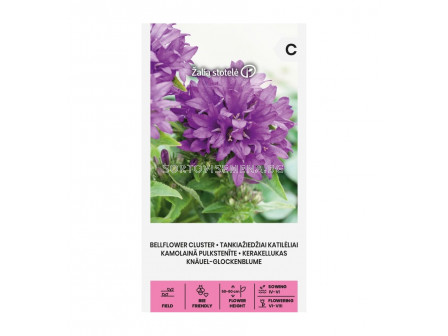 СК СЕМЕНА КАМБАНКИ КИЧЕСТИ СИНИ/ BELLFLOWER CLUSTER, PERENNIALBLUE - 0,1 г