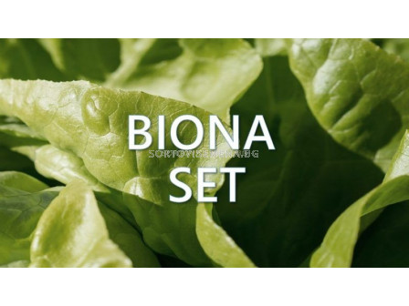 Biona Set – Биона Сет 