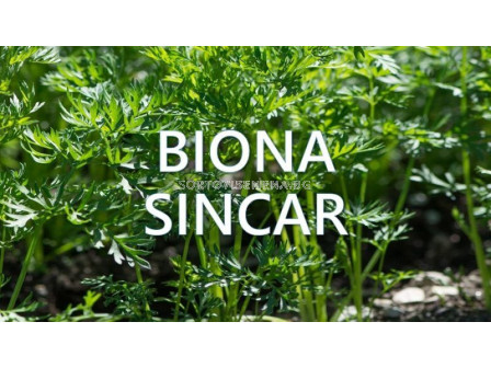 Biona Sincar - Биона Синкар